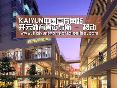 案例展示一