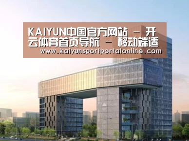 案例展示四