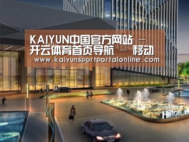 案例展示二
