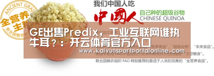 GE出售Predix,工业互联网谁执牛耳?:开云体育官方入口(图3) 开云体育官方入口