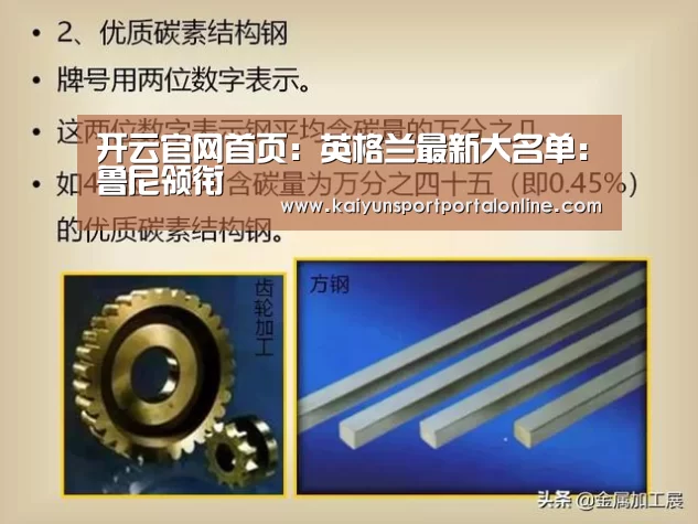 开云官网首页:英格兰最新大名单:鲁尼领衔(图1) KAIYUN SPORTS