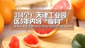开云体育高清直播